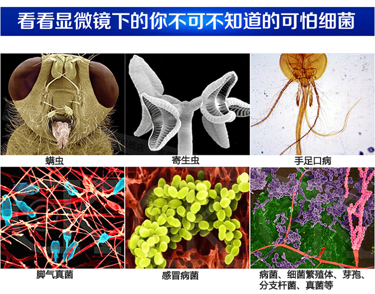 臭氧發生器殺菌消毒處理,臭氧應用于大腸肝菌